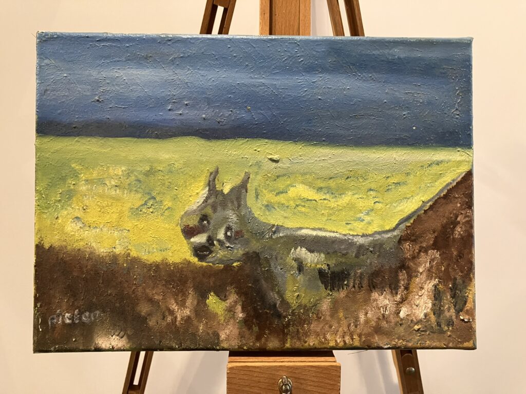 De kat van de buren 1977 35 x 25 cm